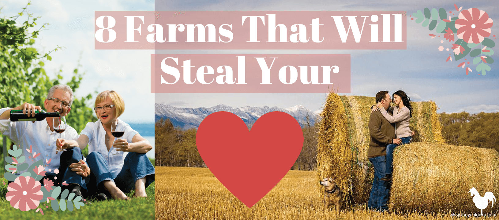 Eight Farms That Will Steal Your Heart